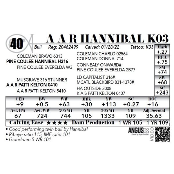 A A R Hannibal K03