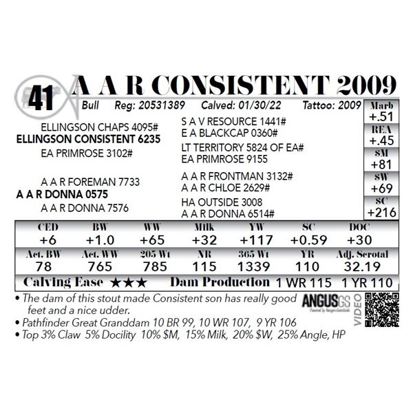 A A R Consistent 2009