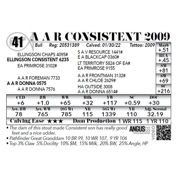 A A R Consistent 2009