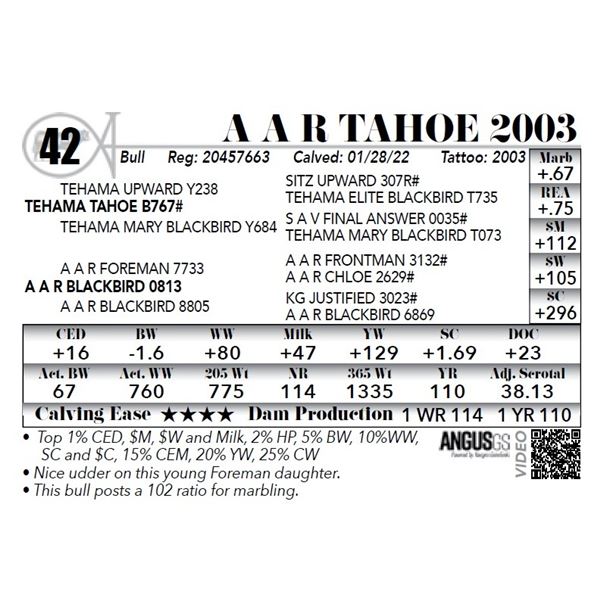 A A R Tahoe 2003