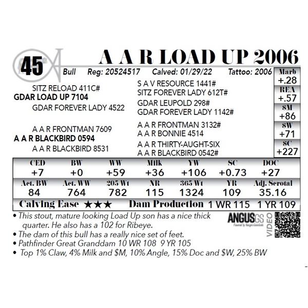 A A R Load Up 2006