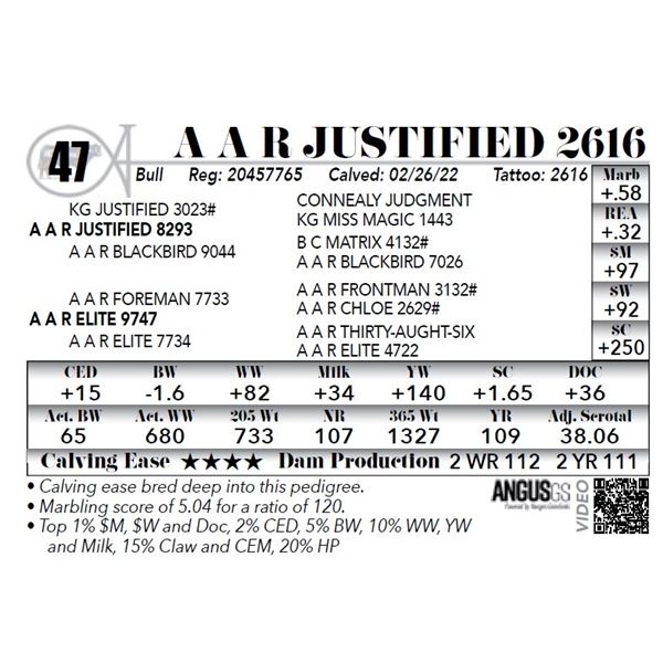 A A R Justified 2616