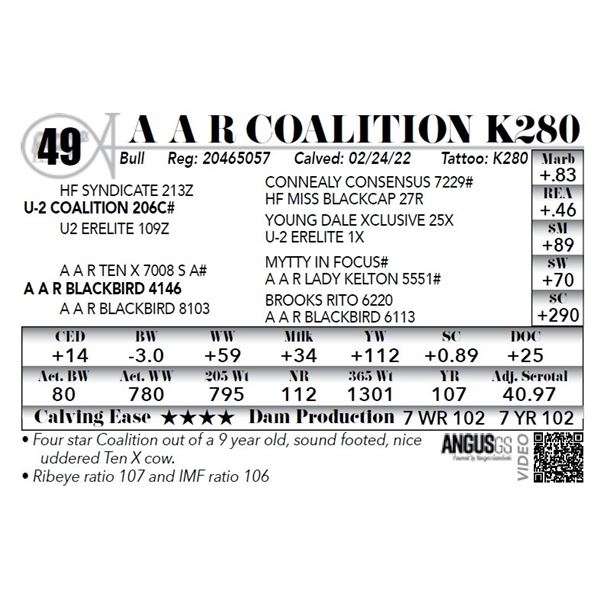 A A R Coalition K280