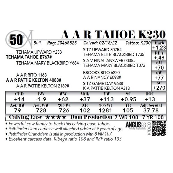 A A R Tahoe K230