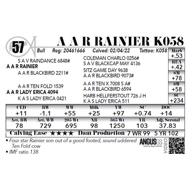 A A R Raindance K058