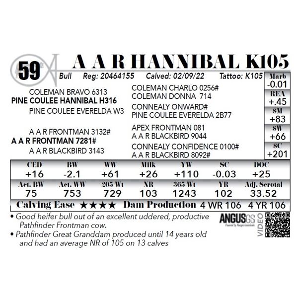 A A R Hannibal K105