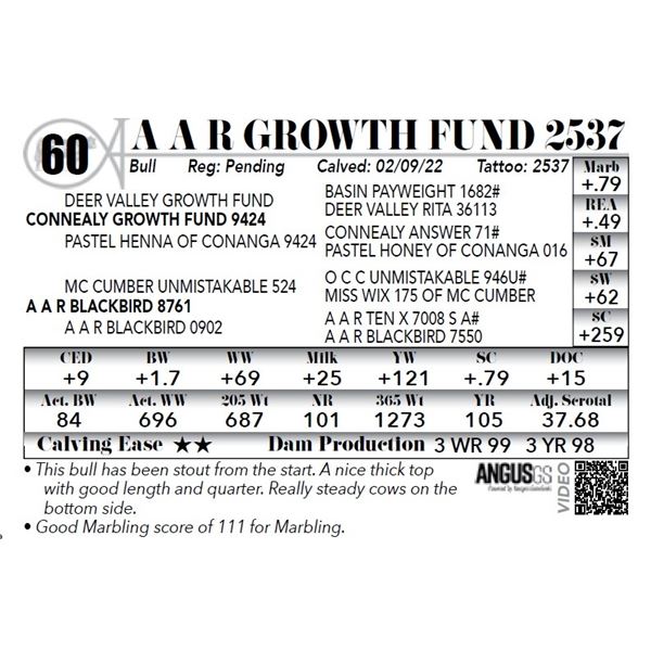 A A R GROWTH FUND 2537