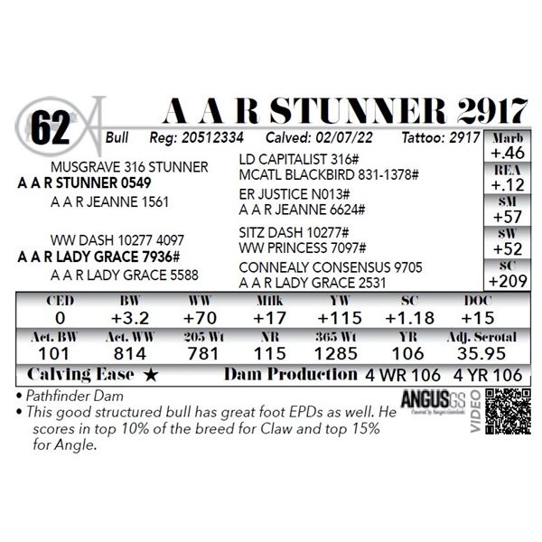 A A R Stunner 2917