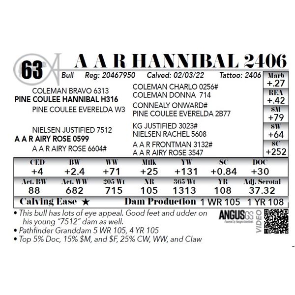 A A R Hannibal 2406