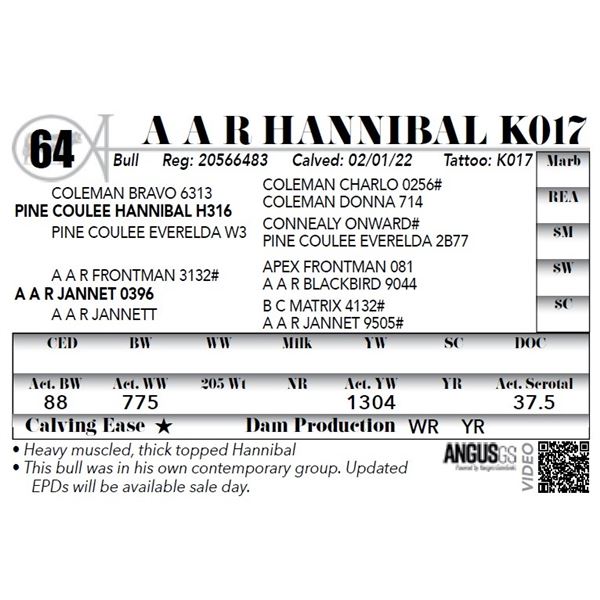 A A R Hannibal K017