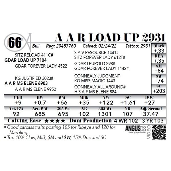 A A R Load Up 2931