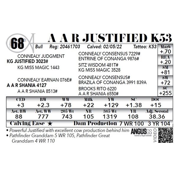 A A R Justified K53