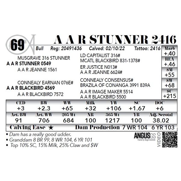 A A R Stunner 2416