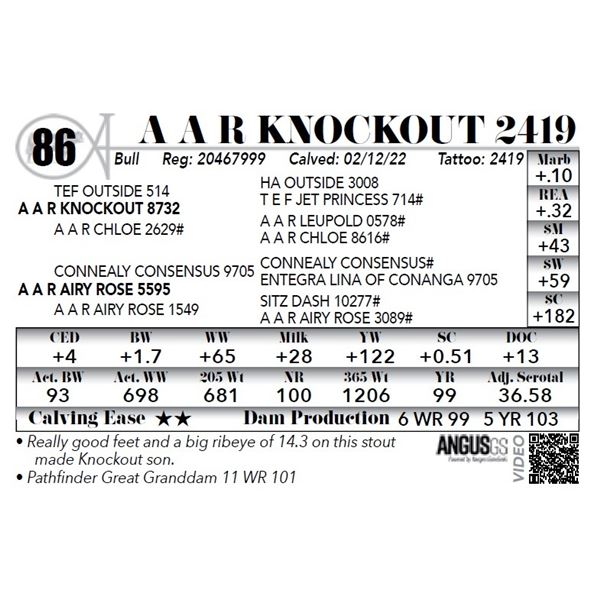 A A R Knockout 2419