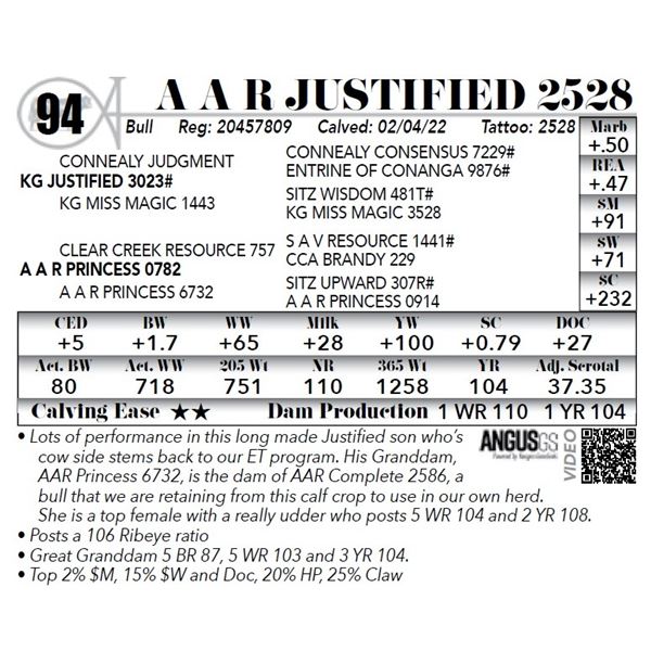 A A R Justified 2528
