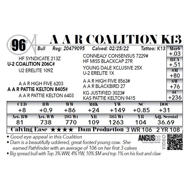 A A R Coalition K13