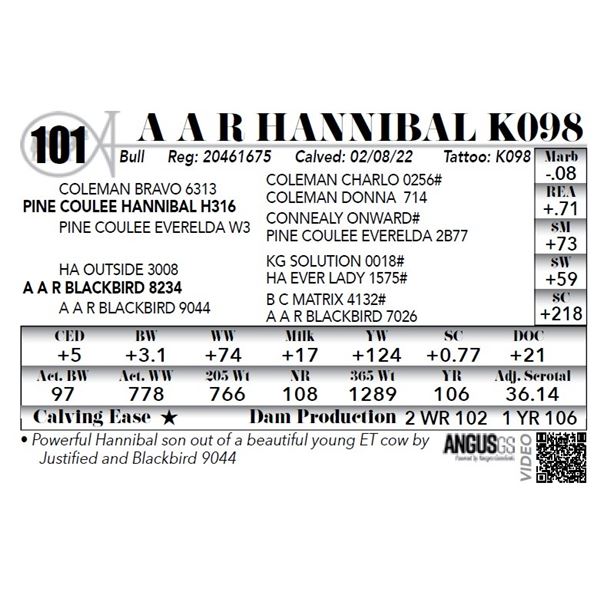 A A R Hannibal K098