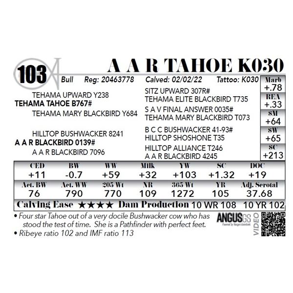 A A R Tahoe K030