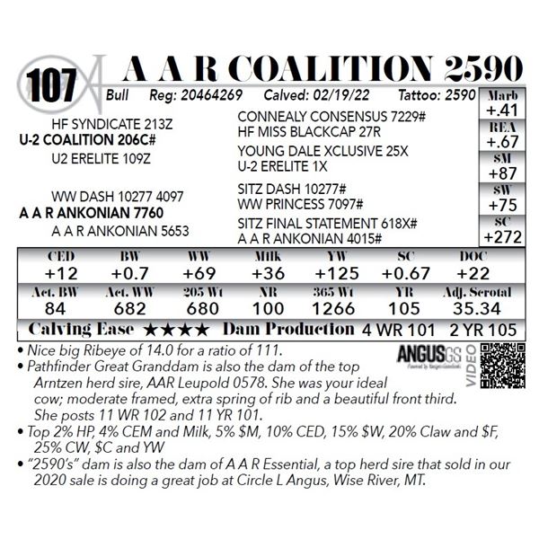 A A R Coalition 2590