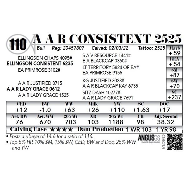 A A R Consistent 2525