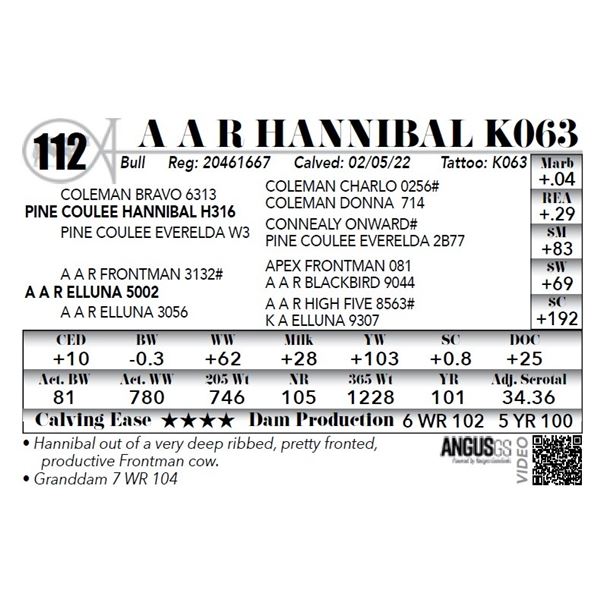 A A R Hannibal K063