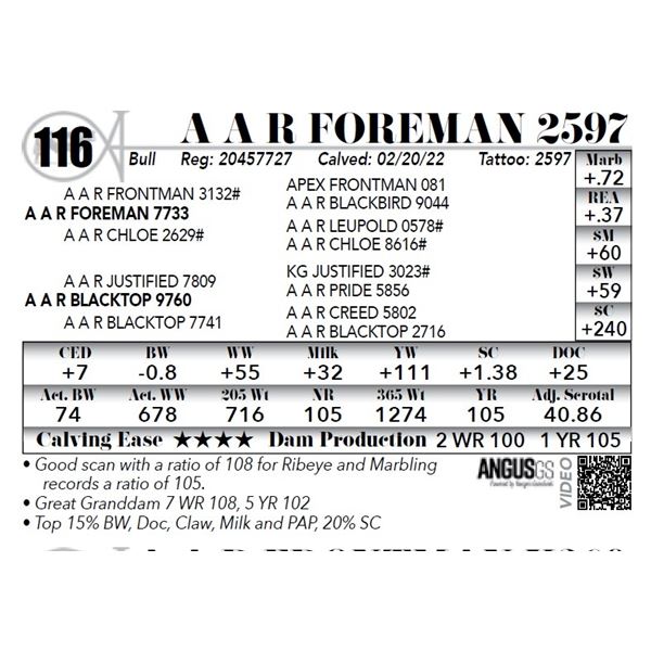 A A R Foreman 2597 - NO VIDEO