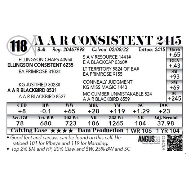 A A R Consistent 2415