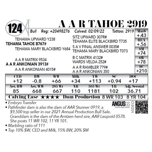 A A R Tahoe 2919