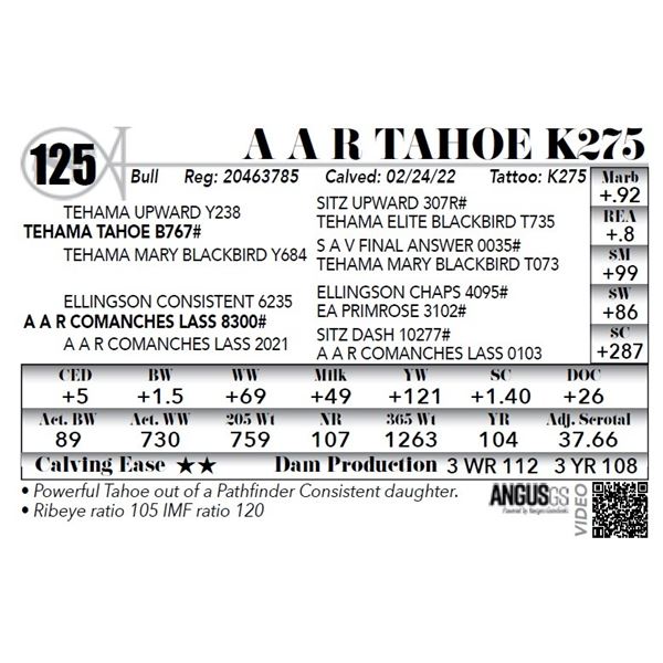 A A R Tahoe K275