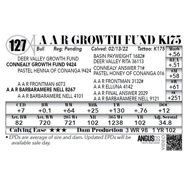 A A R GROWTH FUND K175