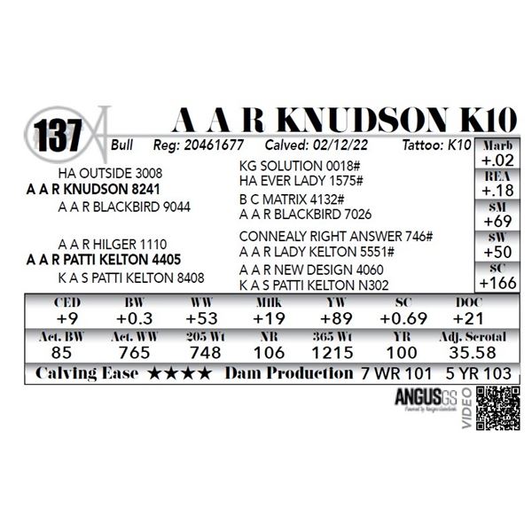 A A R Knudson K10 - NO VIDEO