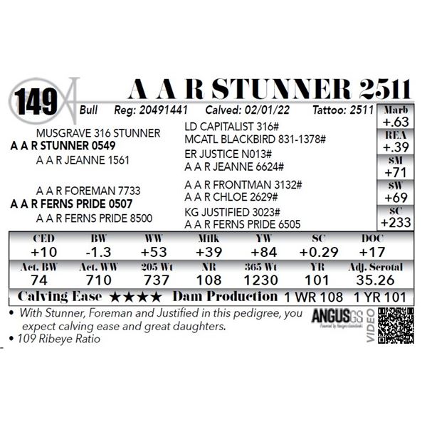 A A R Stunner 2511