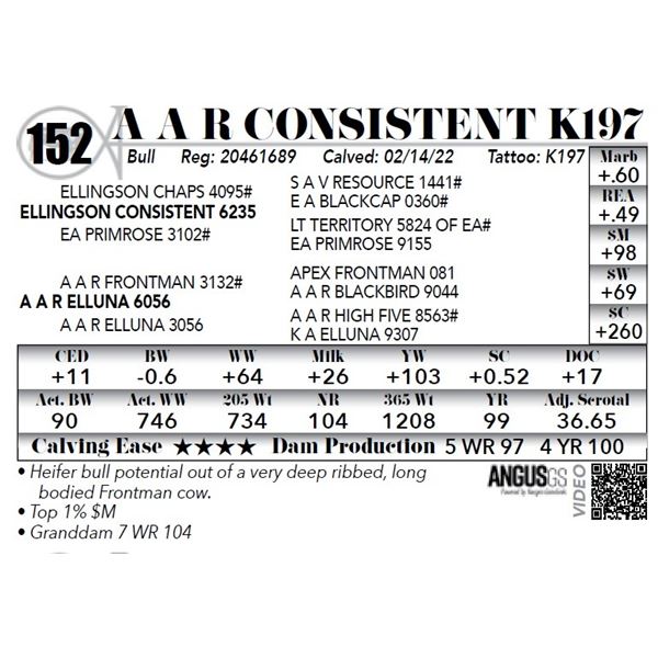 A A R Consistent K197