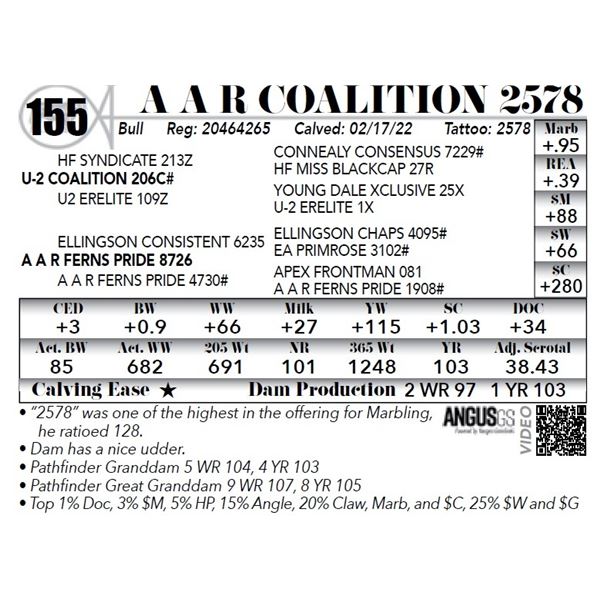 A A R Coalition 2578