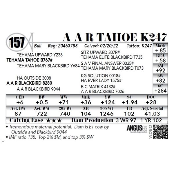 A A R Tahoe K247