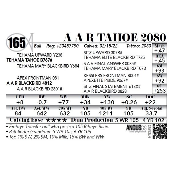 A A R Tahoe 2080