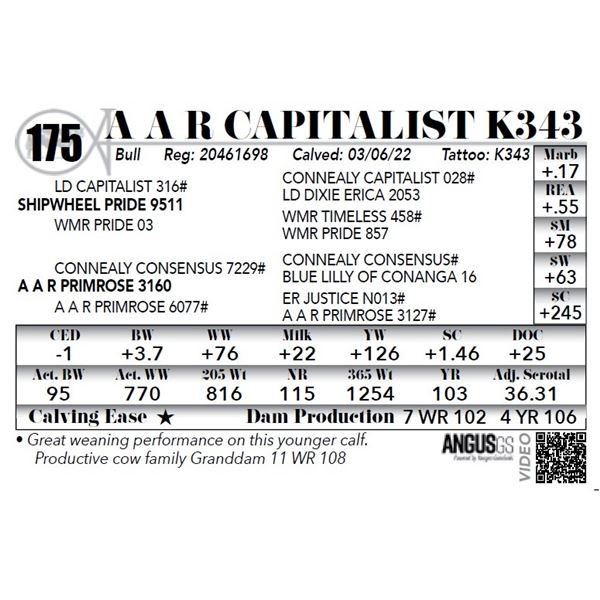 A A R Capitalist K343