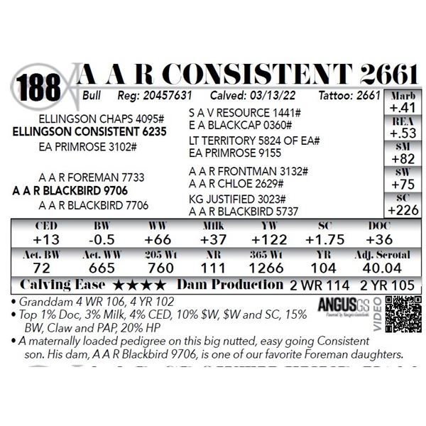 A A R Consistent 2661