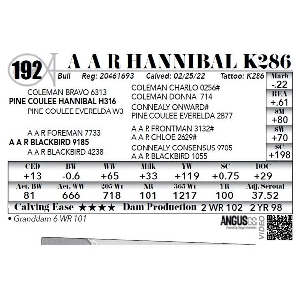 A A R Hannibal K286