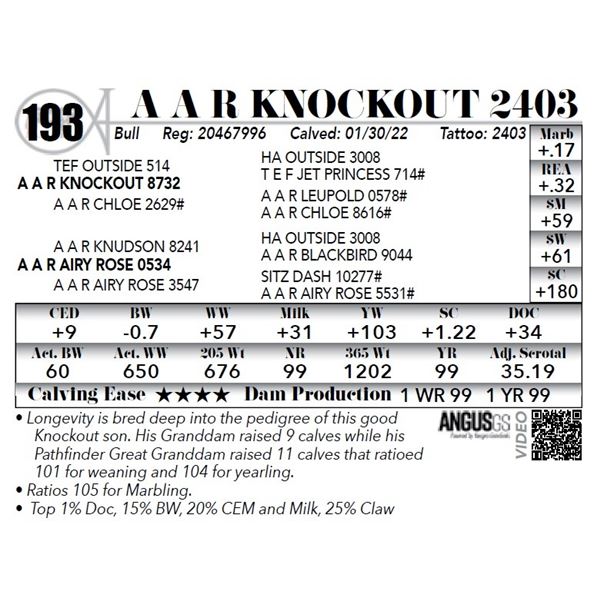 A A R Knockout 2403