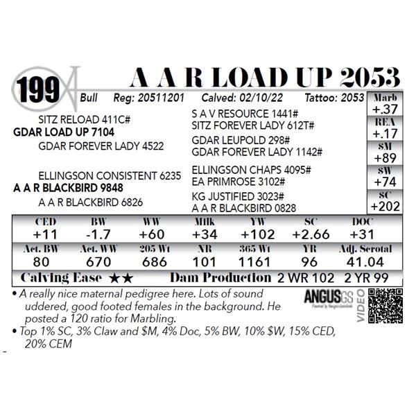A A R Load Up 2053