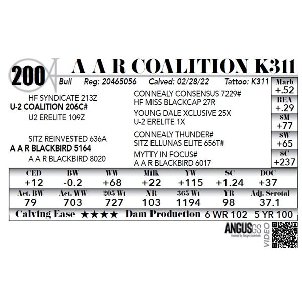 A A R Coalition K311