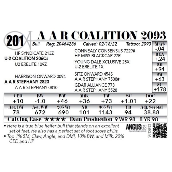 A A R Coalition 2093