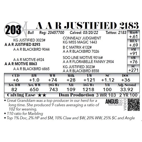 A A R Justified 2183