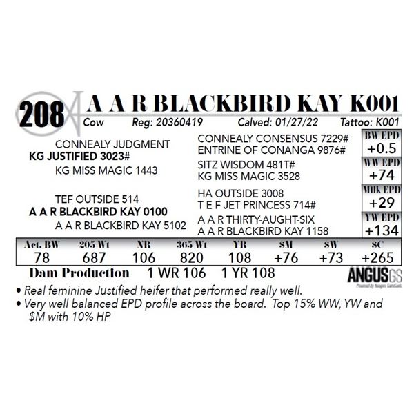 A A R Blackbird Kay K001