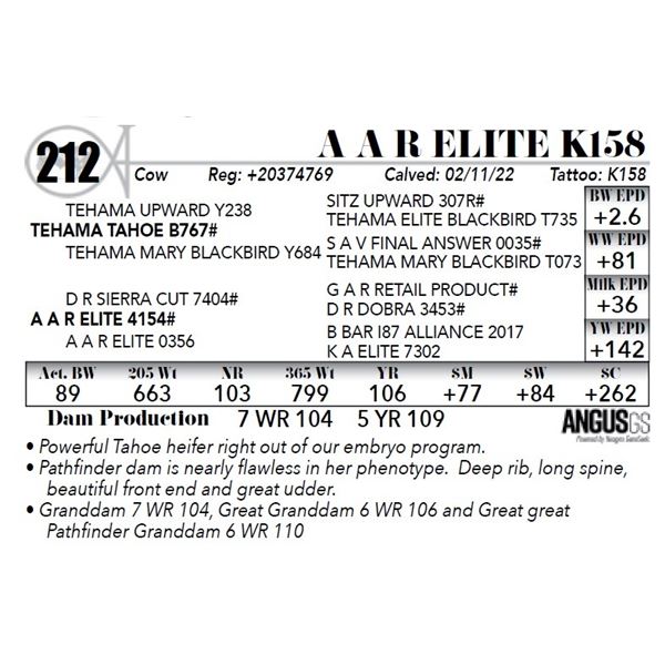 A A R Elite K158