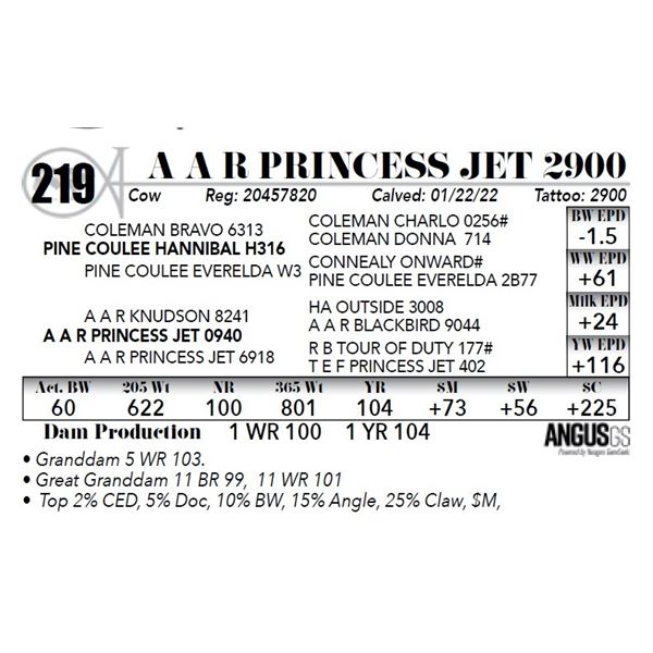 A A R Princess Jet 2900