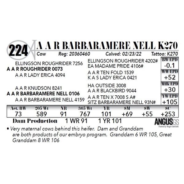 A A R Barbaramere Nell K270