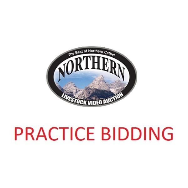 PRACTICE BIDDING