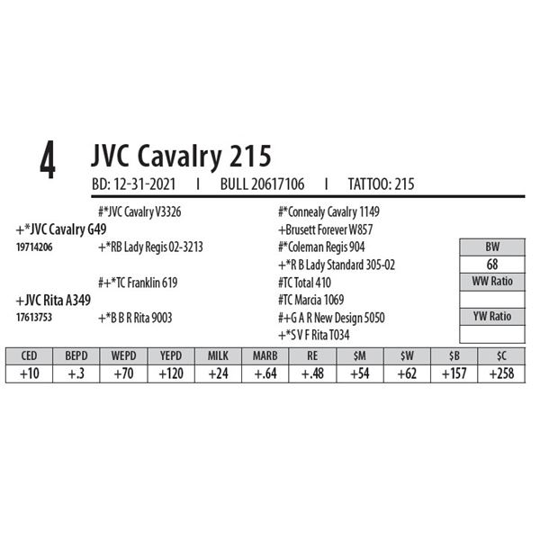 JVC CAVALRY 215